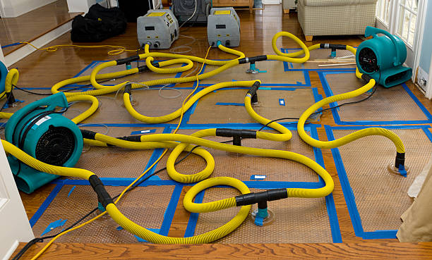 Professional Structural Drying And Dehumidification technician working in Bolivar, OH